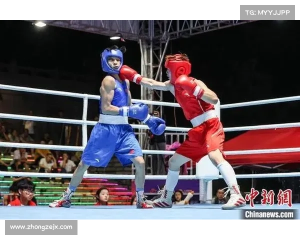 2015搏击赛事-2015年拳击锦标赛