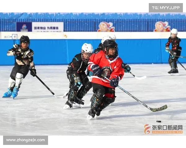 冰球+主要赛事—冰球爱好者的狂欢盛宴全球主要赛事精彩盘点激情与荣耀的完美碰撞